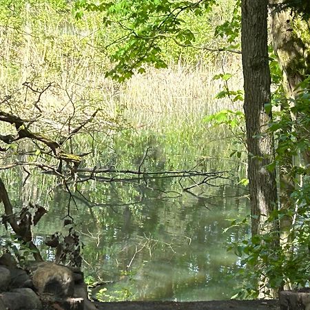 Bungalow Biberspur Zieko Buitenkant foto