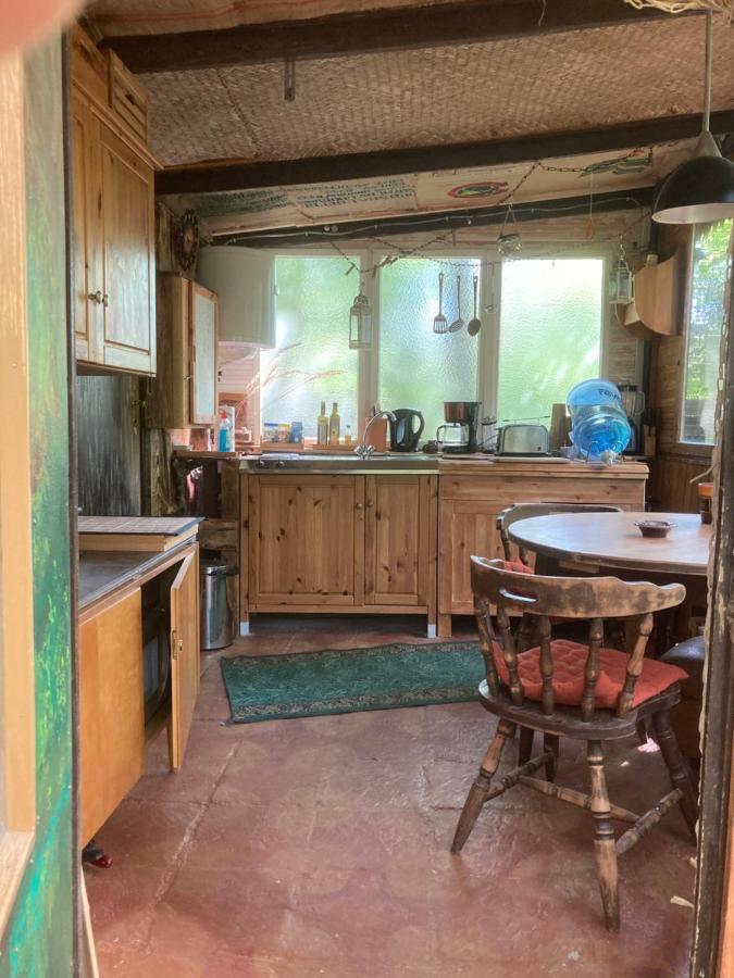 Bungalow Biberspur Zieko Buitenkant foto