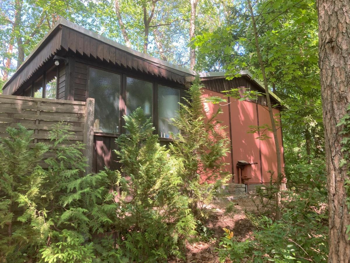 Bungalow Biberspur Zieko Buitenkant foto