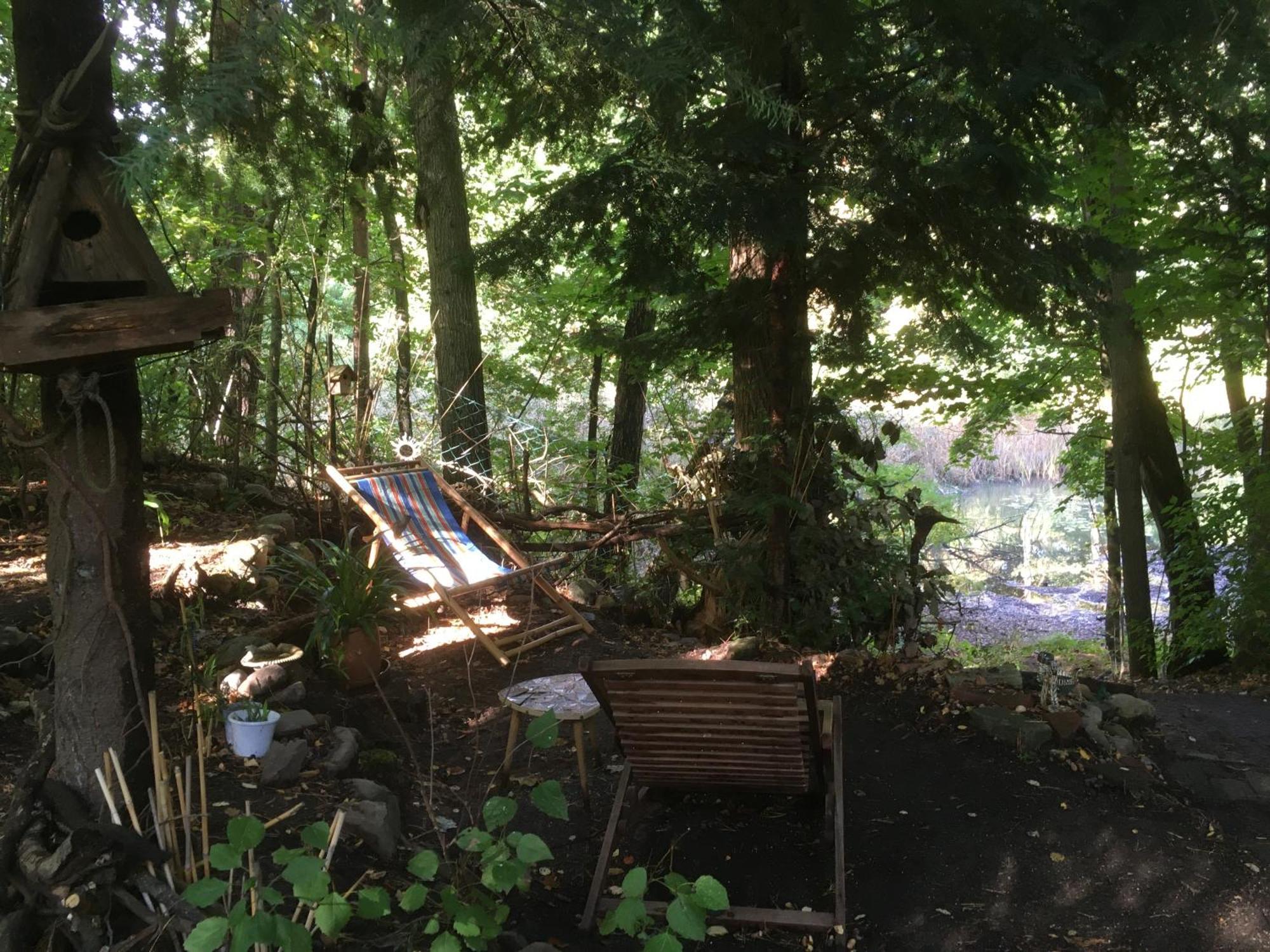 Bungalow Biberspur Zieko Buitenkant foto