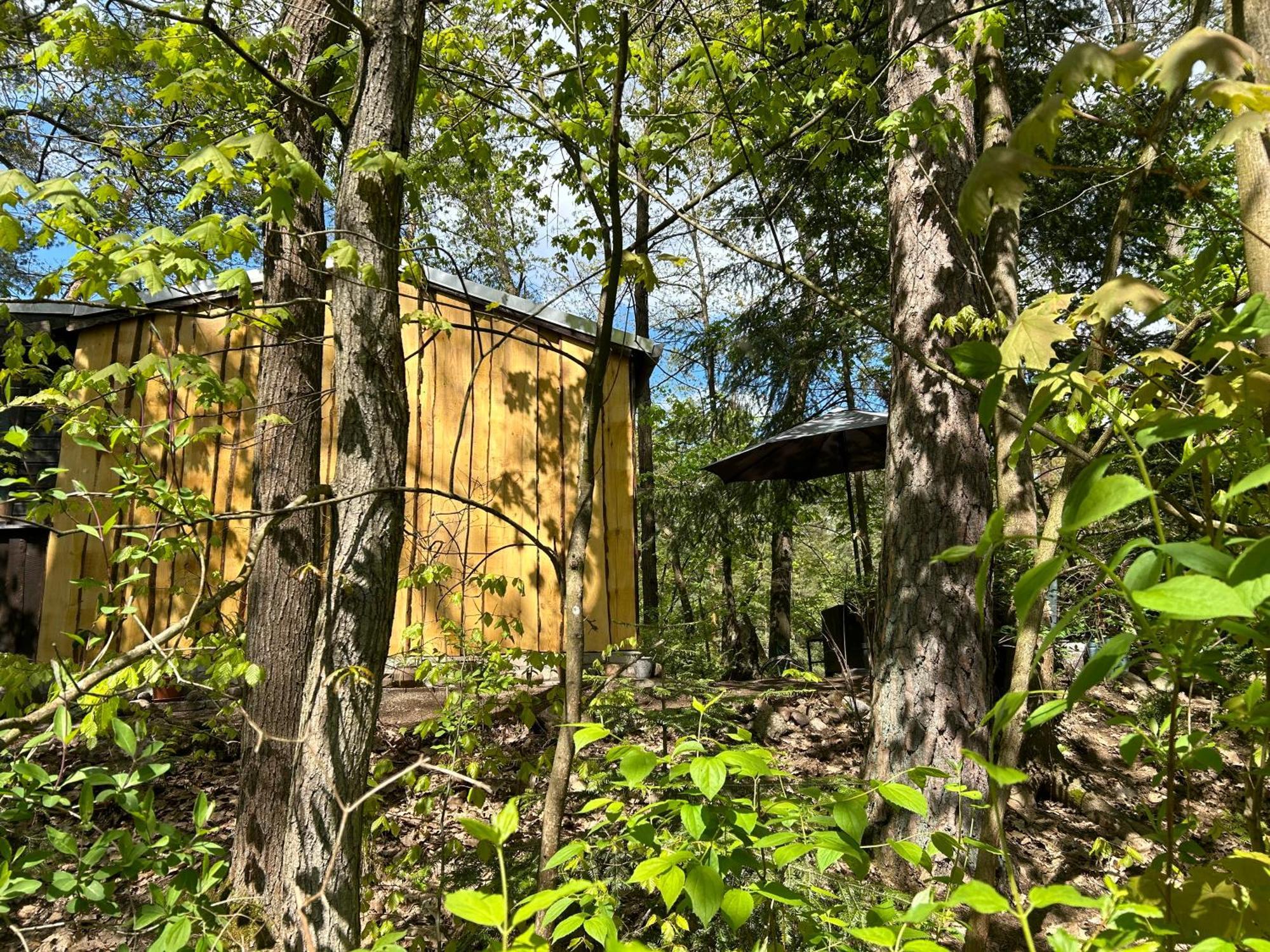 Bungalow Biberspur Zieko Buitenkant foto